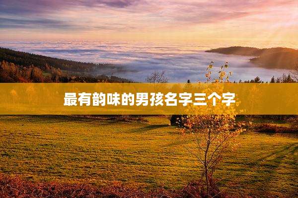 最有韵味的男孩名字三个字