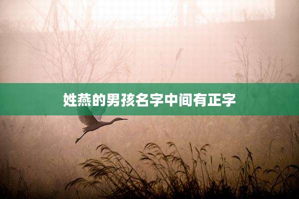 姓燕的男孩名字中间有正字