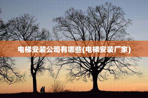 电梯安装公司有哪些(电梯安装厂家)