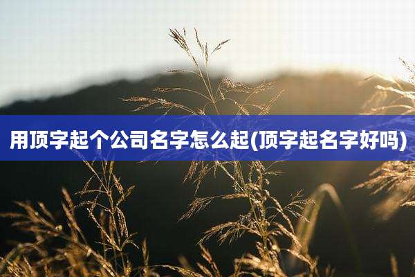 用顶字起个公司名字怎么起(顶字起名字好吗)