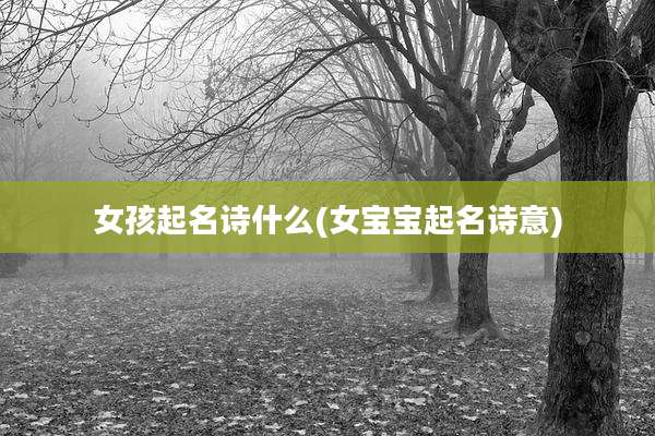 女孩起名诗什么(女宝宝起名诗意)