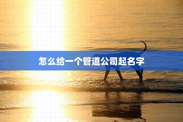 怎么给一个管道公司起名字