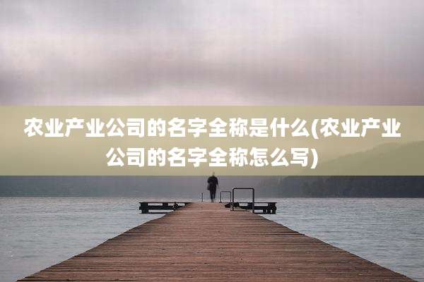 农业产业公司的名字全称是什么(农业产业公司的名字全称怎么写)