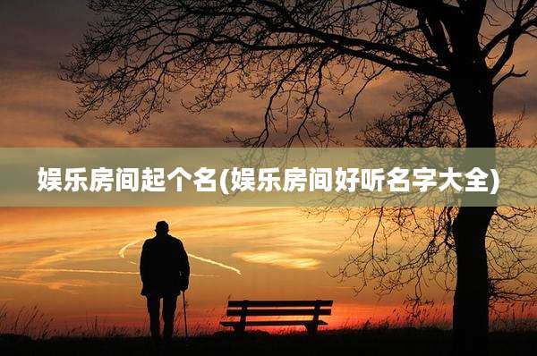 娱乐房间起个名(娱乐房间好听名字大全)