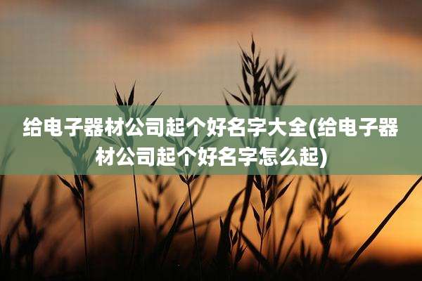 给电子器材公司起个好名字大全(给电子器材公司起个好名字怎么起)