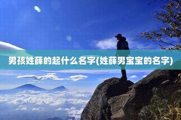男孩姓薛的起什么名字(姓薛男宝宝的名字)