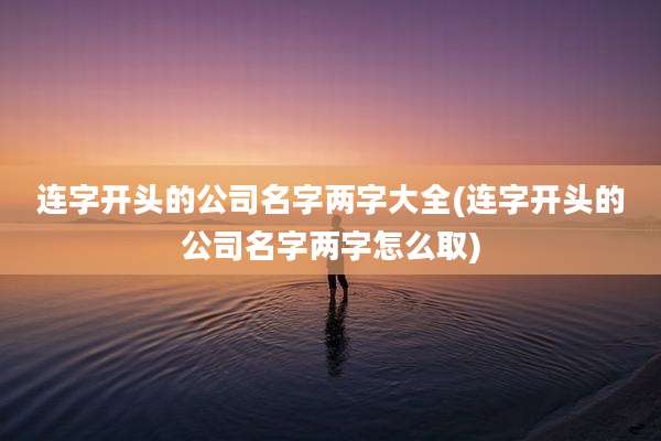 连字开头的公司名字两字大全(连字开头的公司名字两字怎么取)