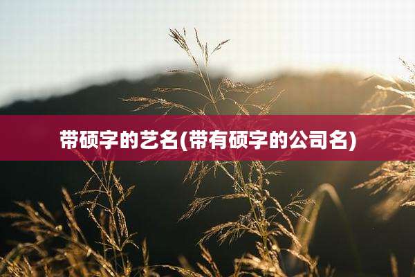 带硕字的艺名(带有硕字的公司名)