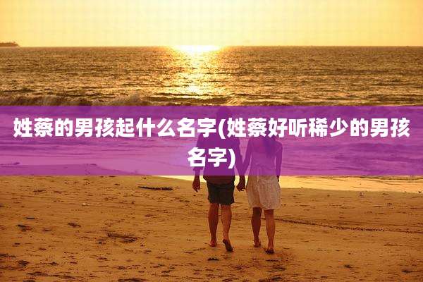 姓蔡的男孩起什么名字(姓蔡好听稀少的男孩名字)