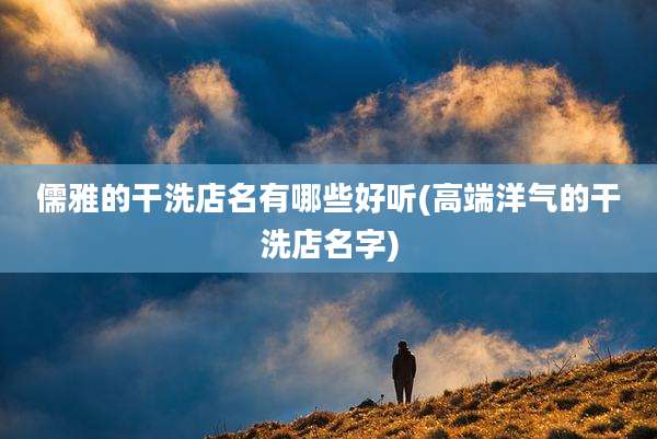 儒雅的干洗店名有哪些好听(高端洋气的干洗店名字)