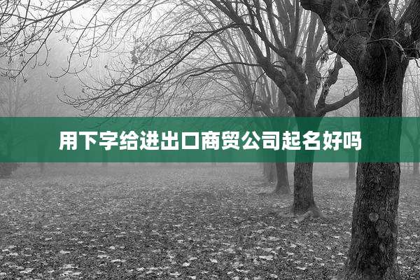 用下字给进出口商贸公司起名好吗