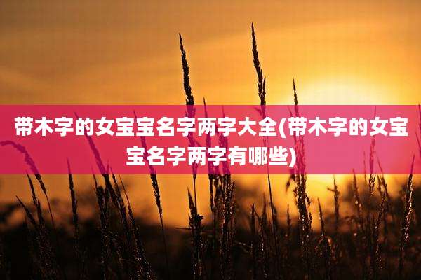 带木字的女宝宝名字两字大全(带木字的女宝宝名字两字有哪些)