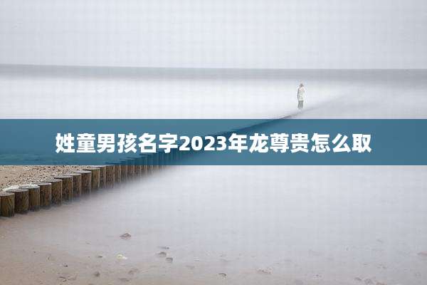 姓童男孩名字2023年龙尊贵怎么取