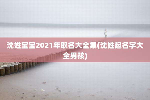 沈姓宝宝2021年取名大全集(沈姓起名字大全男孩)