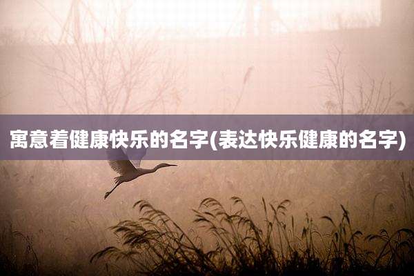 寓意着健康快乐的名字(表达快乐健康的名字)