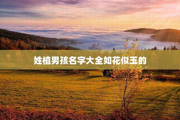 姓植男孩名字大全如花似玉的
