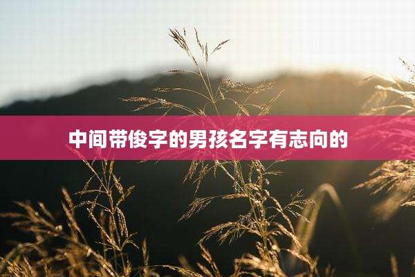 中间带俊字的男孩名字有志向的