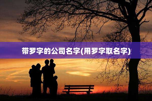 带罗字的公司名字(用罗字取名字)