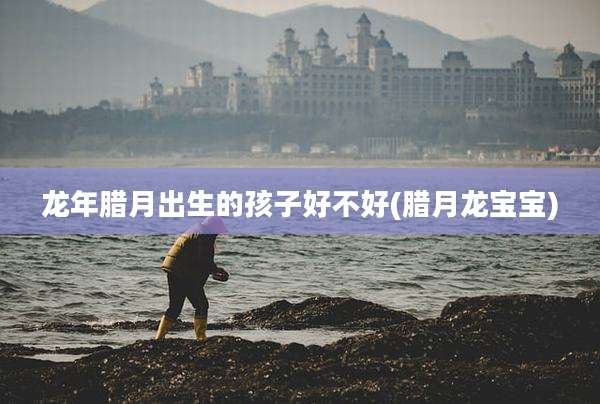 龙年腊月出生的孩子好不好(腊月龙宝宝)