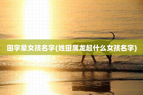 田字辈女孩名字(姓田属龙起什么女孩名字)