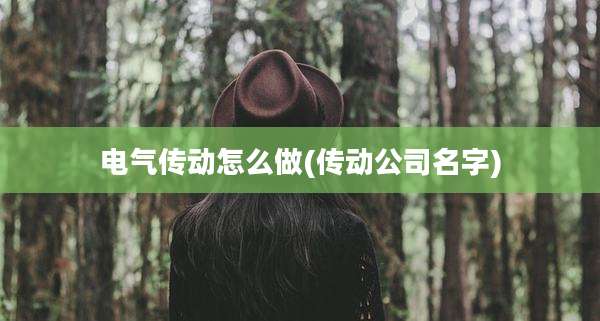 电气传动怎么做(传动公司名字)