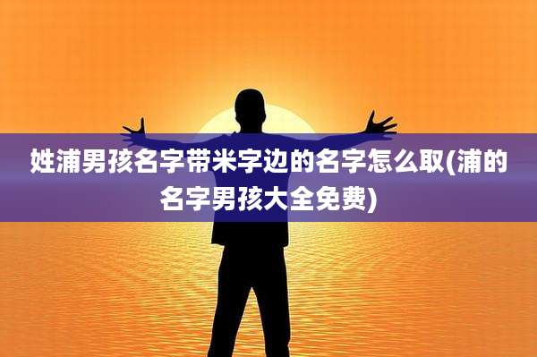 姓浦男孩名字带米字边的名字怎么取(浦的名字男孩大全免费)