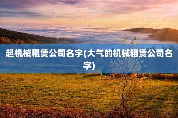 起机械租赁公司名字(大气的机械租赁公司名字)