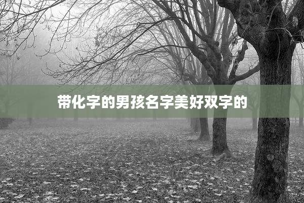 带化字的男孩名字美好双字的