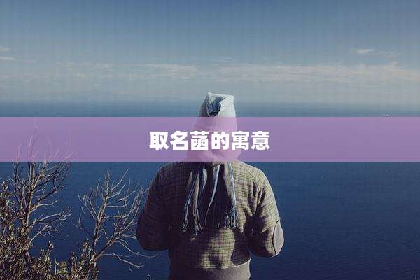 取名菡的寓意