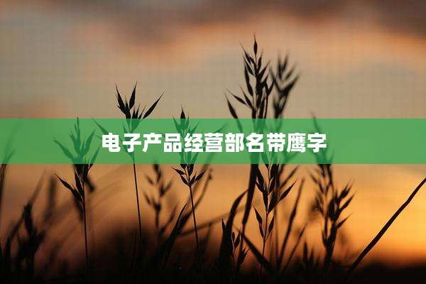 电子产品经营部名带鹰字