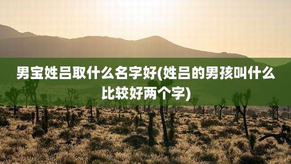 男宝姓吕取什么名字好(姓吕的男孩叫什么比较好两个字)