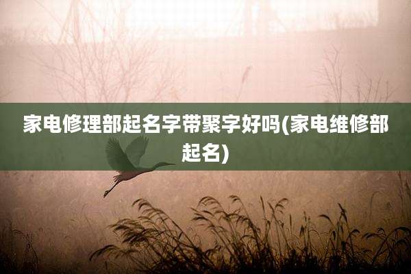 家电修理部起名字带聚字好吗(家电维修部起名)