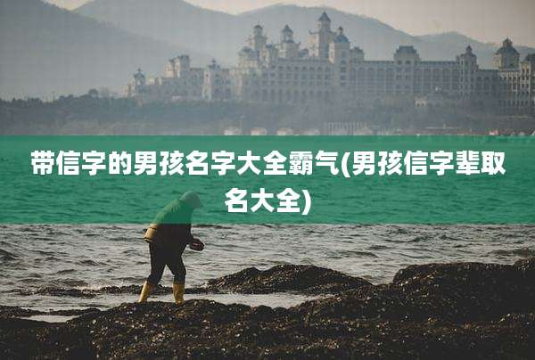 带信字的男孩名字大全霸气(男孩信字辈取名大全)