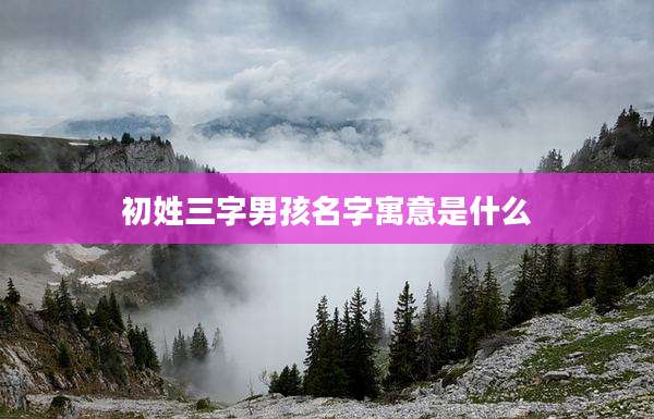 初姓三字男孩名字寓意是什么