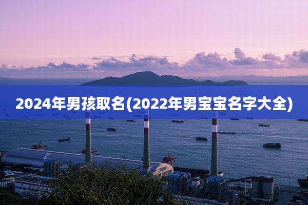 2024年男孩取名(2022年男宝宝名字大全)