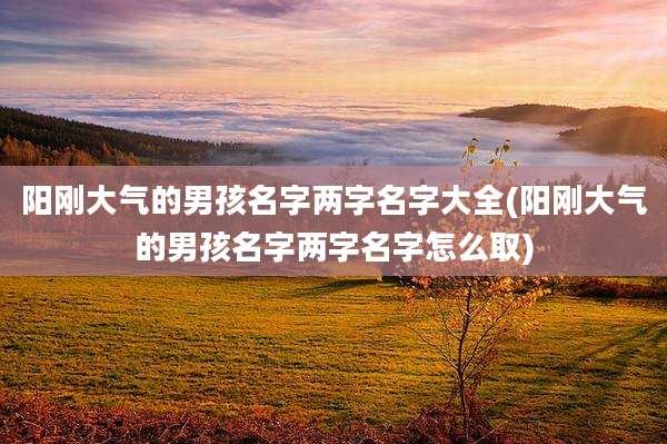 阳刚大气的男孩名字两字名字大全(阳刚大气的男孩名字两字名字怎么取)
