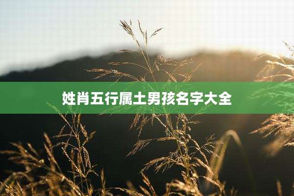 姓肖五行属土男孩名字大全