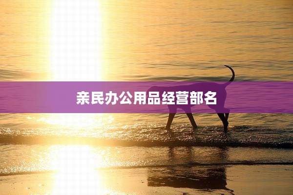 亲民办公用品经营部名