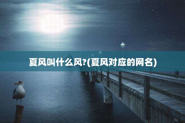 夏风叫什么风?(夏风对应的网名)