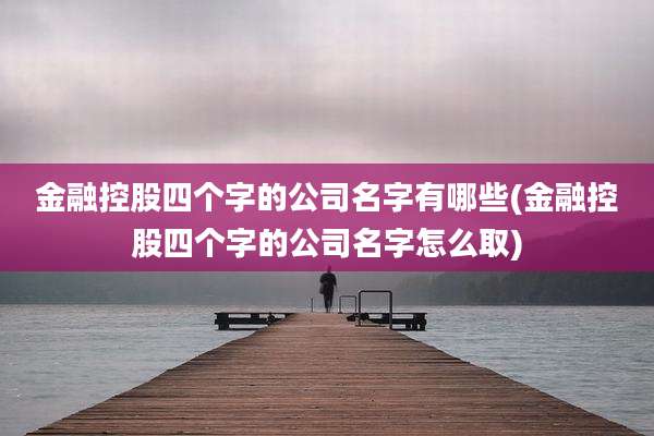 金融控股四个字的公司名字有哪些(金融控股四个字的公司名字怎么取)
