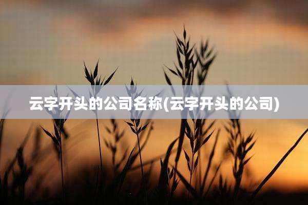 云字开头的公司名称(云字开头的公司)