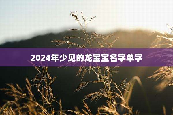 2024年少见的龙宝宝名字单字