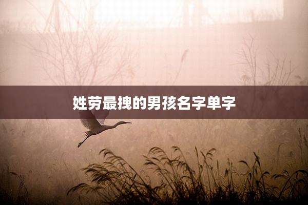 姓劳最拽的男孩名字单字