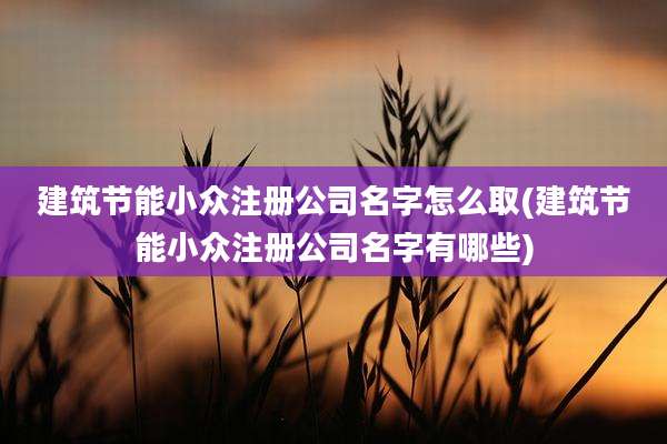 建筑节能小众注册公司名字怎么取(建筑节能小众注册公司名字有哪些)