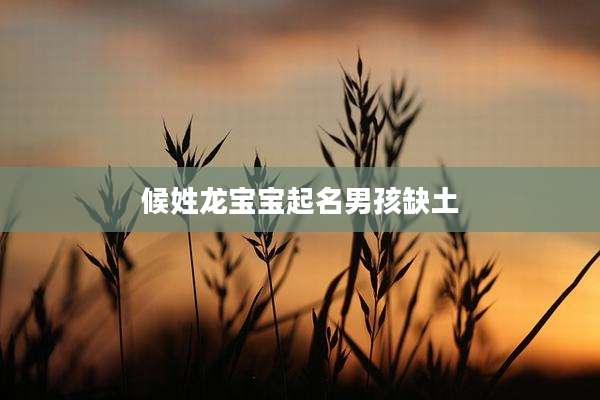 候姓龙宝宝起名男孩缺土