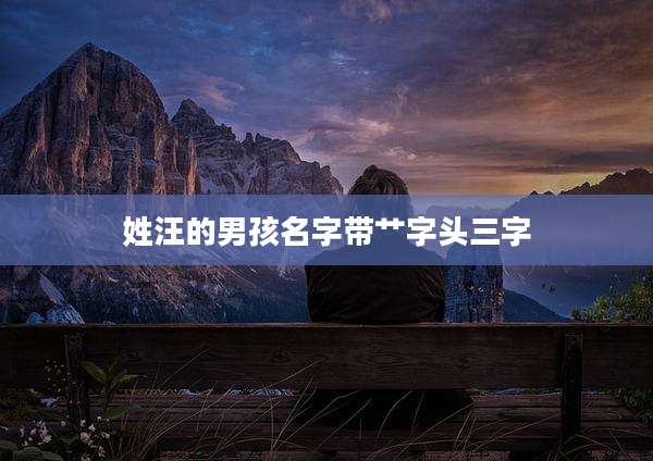 姓汪的男孩名字带艹字头三字