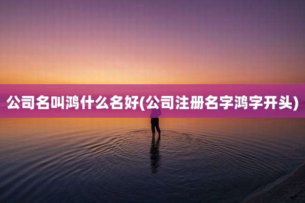 公司名叫鸿什么名好(公司注册名字鸿字开头)