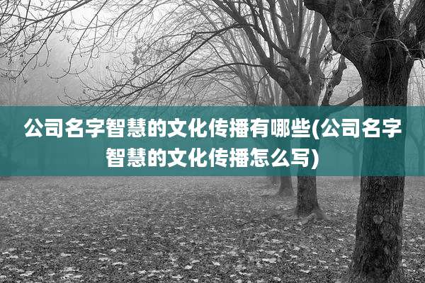 公司名字智慧的文化传播有哪些(公司名字智慧的文化传播怎么写)