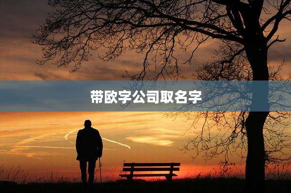 带欧字公司取名字