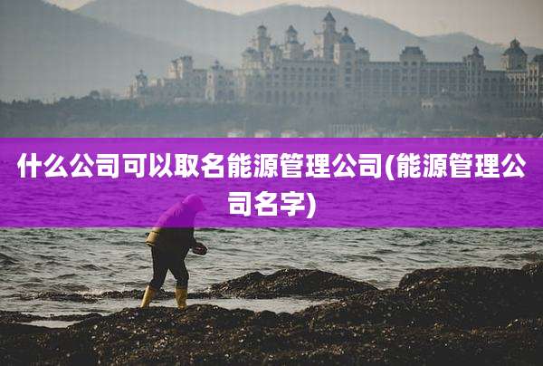 什么公司可以取名能源管理公司(能源管理公司名字)
